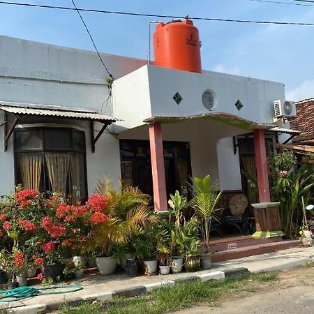 Owl Hostel Ilhas Karimunjava Exterior foto