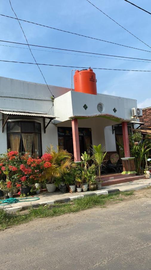 Owl Hostel Ilhas Karimunjava Exterior foto